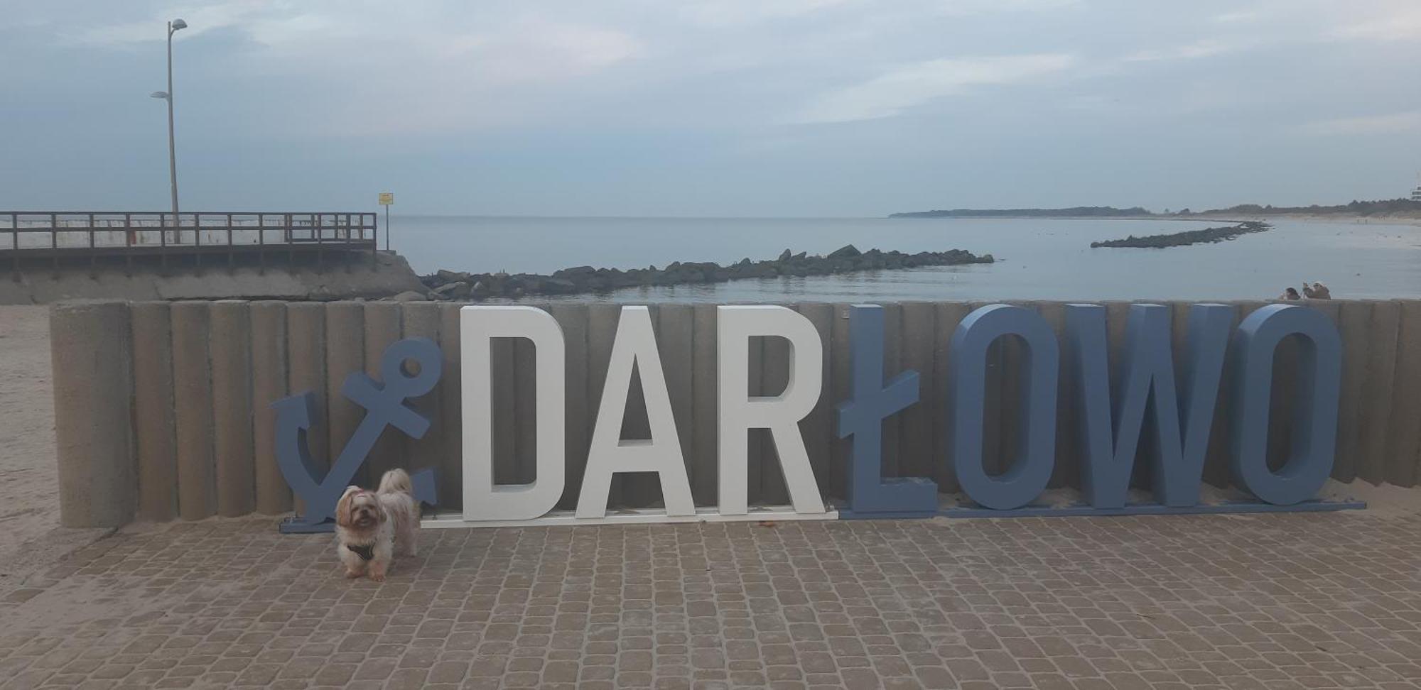 Pokoje Goscinne Galeon W Darlowku Darlowo Bagian luar foto